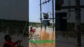 Power Restoration in Floodwaters: Watch How Workers Safely Restart Transformers Amidst Disaster