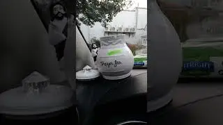 Biblelife Prayer Jar Blooper 🙏: 10/14/22 @disabledflybaby3601