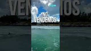 En Naples NO vendemos casas  #naples #latinos #realestate #casas #inversiones #Florida #estilodevida