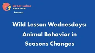 Wild Lesson Wednesday: Animal Behavior During a Season Change