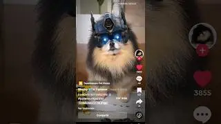 lnavders not welcome🤖 (Mocha Pom Reuploaded)