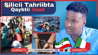 Tahriibihii Ugu Nasiibka Xumaa (Beentii Fashilantay) Q3-AAD