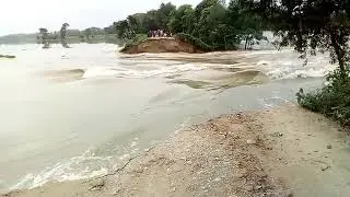 Musharraf Katihar  bihar badh 2017