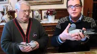 RAF DEN HAEZE NEDERLANDS.wmv