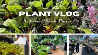 Plant Vlog ft. SummerWinds Nursery !