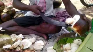 Asian Street Food l  Unique Palmyra Palm l Taal Saas l Pallet Shells