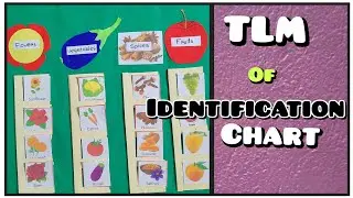 TLM of identification chart ( fruits,vegetables, flowers, spices)