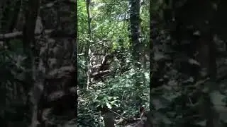 Senderismo en Parque Ecol&oacute;gico Chipinque Monterrey MX ~ Elevaci&oacute;n m&aacute;xima 1305 metros