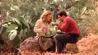 Adamo Salvatore - La tua storia è una favola