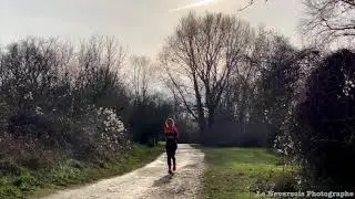 Route des Saulaies Nevers : promenade nature et activit&eacute;s pour toute la famille