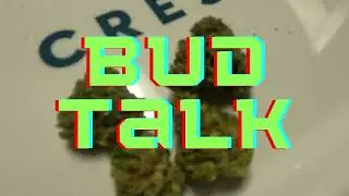 Bud Talk Episode 1: First Class Runtz From Cresco