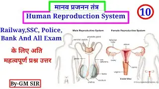 Human Reproduction System| मानव प्रजनन तंत्र|3D Diagram|For -RRB NTPC ALP And All One Day Exam|BY-GM