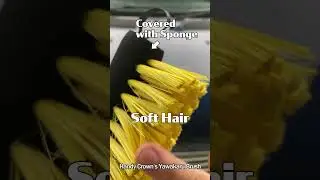 Super Long Brush for Car Washing!