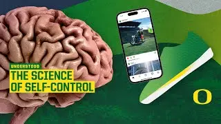 Breaking Habits and Conquering Goals | What Happens in the Brain?