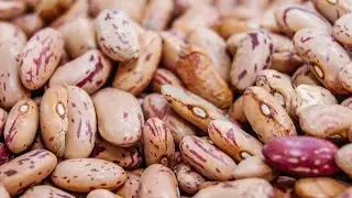 Dietitian Shares 5 Protein-Packed Beans Perfect For Chili, Salads, And Tacos