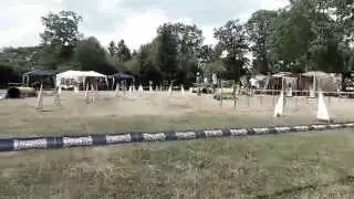 J3 Pfotenpower Lauffen 06.07.2014