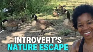 Finding Peace Among Birds | Introvert's Nature Escape  🦆