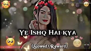 Yeh Ishq Hai Kya Ek Rog Bura |Sunil Shetty| Karisma Kapoor | Kumar Sanu | AlkaYagnik 
