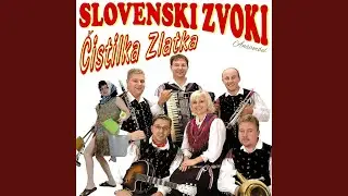 Čistilka Zlatka