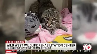 Wild West Wildlife Rehabilitation Center marks record year of animal rescues