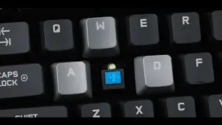 Logitech G710 Mechanical Keyboard typing sound (Cherry MX Blues)
