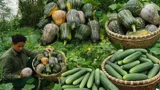 Busy Day Working On The Farm, Harvesting Pumpkins & Cucumbers To Sell At The Market For Extra Income