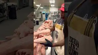 МАСТЕР ПО ОБРЕЗКЕ БЫЧЬЕГО ХВОСТА‼️ LESBBQ.COM➡️➡️🍎🍎