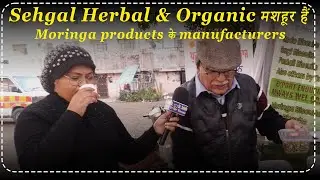 Sehgal Herbal & Organic मशहूर हैं Moringa products  के manufacturers