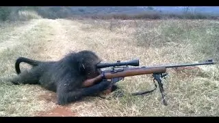 Modern Warfare Montage with THE BIG SIMP