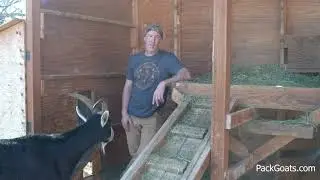 Do Chickens Spread Coccidiosis To Goats?