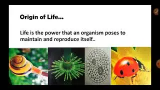 Evolution (Origin of life) lecture 1|| for class 12, BSc || @Pandey_Jyoti