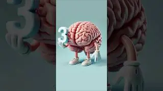 Top 3 science-backed memory techniques.  #psychology #memory #learning #science #exam #brain #test