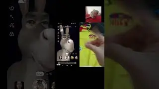 xddddd