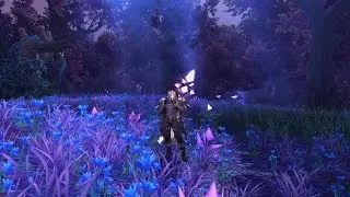 World of Warcraft | Blood Elf Mage