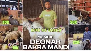 Mumbai Deonar Bakra Mandi 2024 | Asia's Biggest Goat Mandi | Qurbani Ke Bakre | Saad Vlogs
