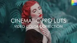 Professional Cinematic LUTs