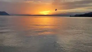 Montreux celebration days 2022