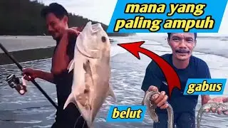 tes umpan ampuh mancing di laut || mancing pasiran