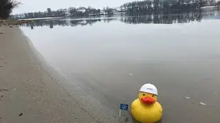 LIFE Netzwerk Donau Ybbser Scheibe - VERBUND