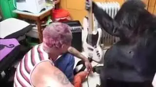 koko the gorilla plays bass with Flea from red hot chili peppers
