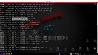 Bluetooth im Terminal am Futro