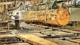 Sawing a massive 60-foot-long Douglas fir log