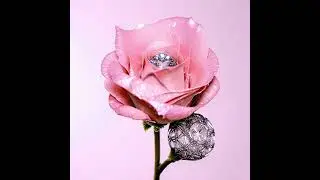 Irokz - Reverse Roses (sped up)
