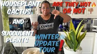138: Indoor Houseplants, Cacti & Succulent Plants: Winter Update Tour | Are They Hot or Not?