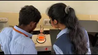 B Tech Biotechnology and Biochemical Engineering
