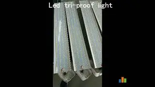 Led tri proof light