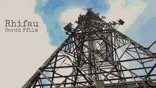 Rhifau