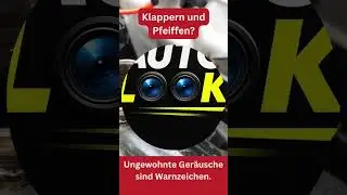 Probefahrt-Geheimnisse: Diese Details verraten Haken. Autokauf#04
