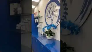 Chiropractor in Boca Raton Florida   Integrated Chiropractor   Dr Hollenberg  33431 Boca Raton
