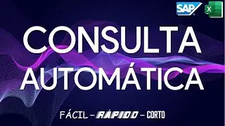 SAP MACRO EXCEL consulta